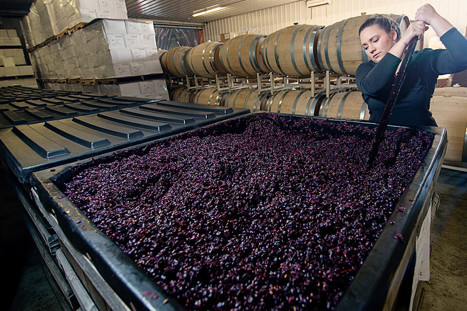 Abby Stamp Cellar Level